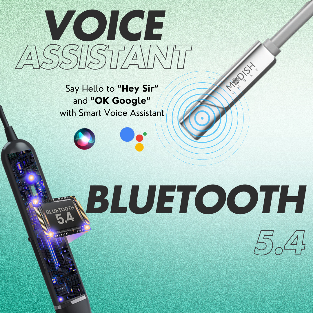voice-assistant